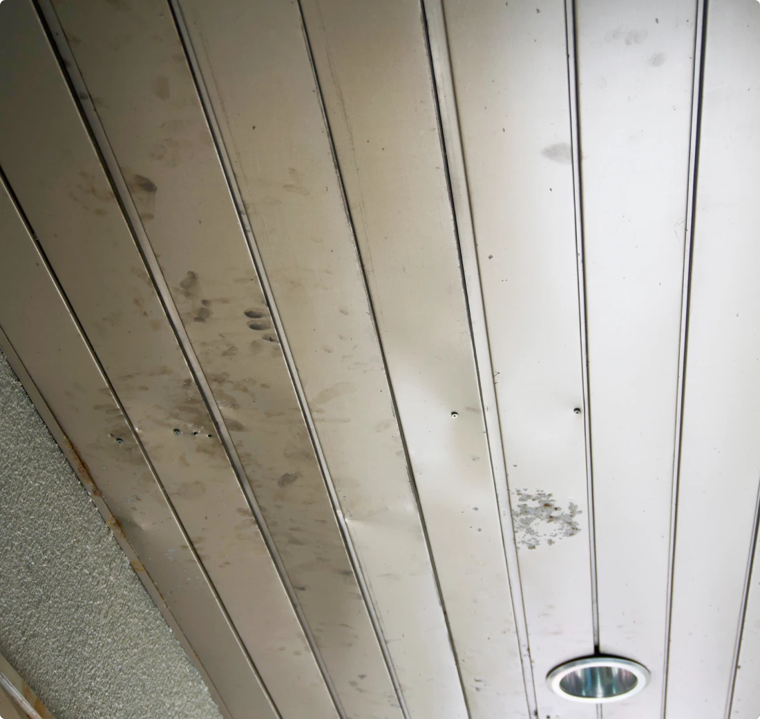 Metal Ceiling Stains