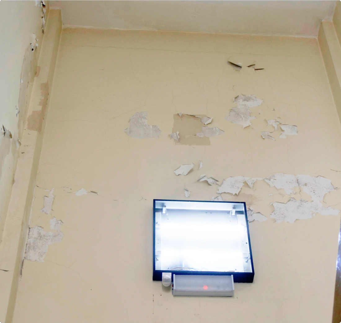 Paint Peeling