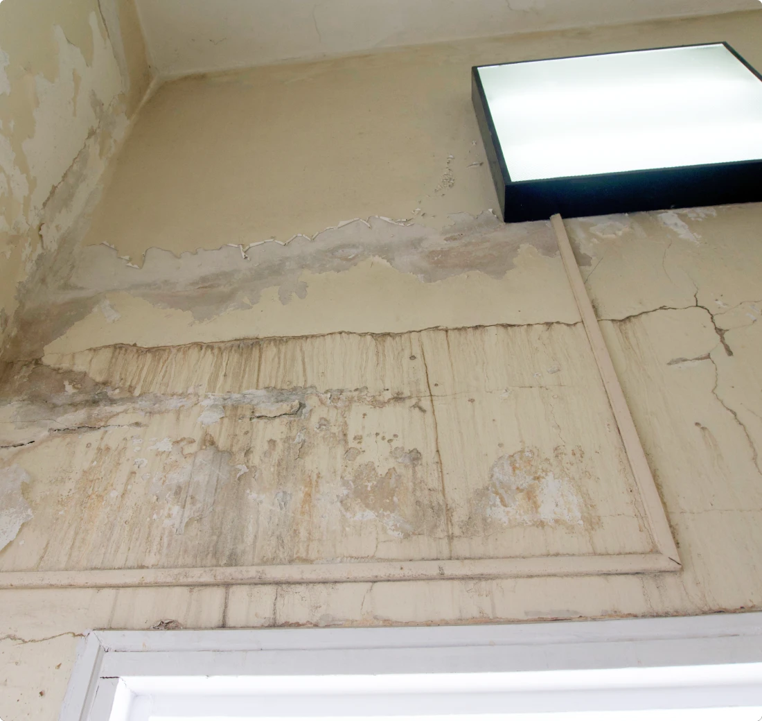Water Stains On Walls