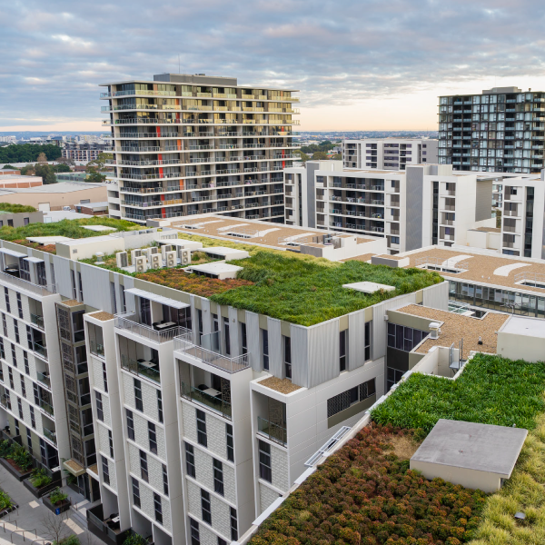 Green Roofs
