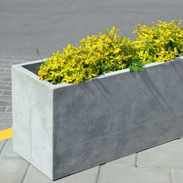 Planter Box