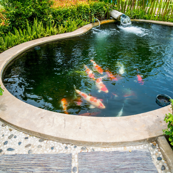 Ponds & Fountains