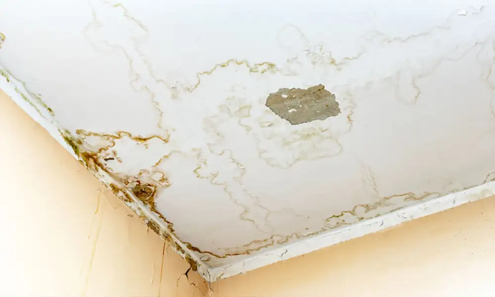 Water Leakage Flat Roof