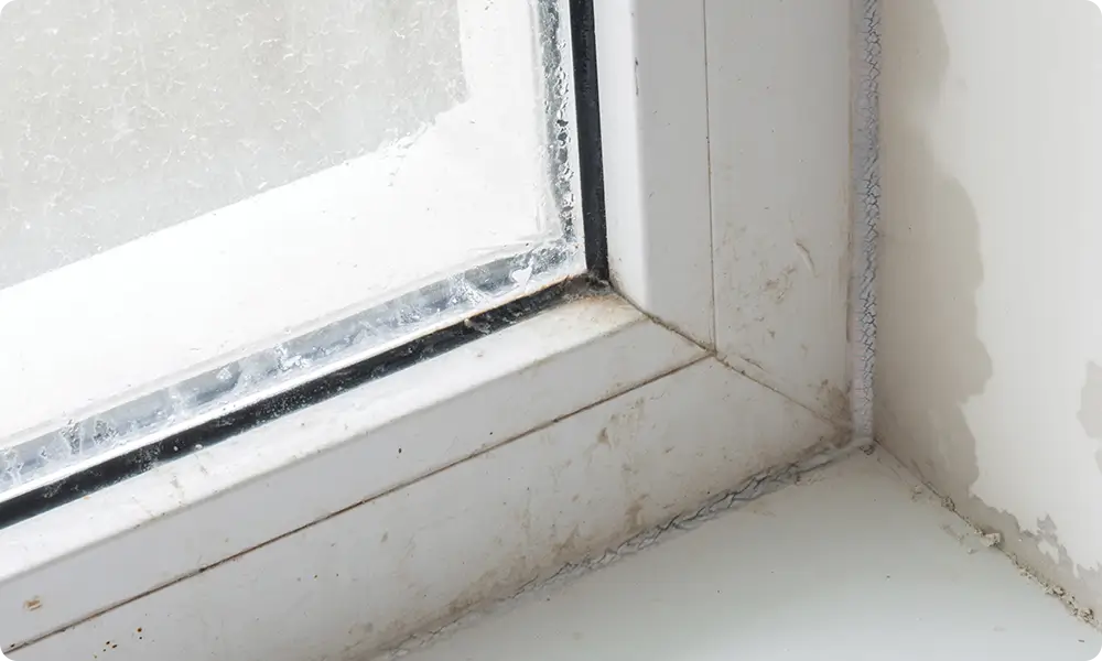 Window Perimeter Solution